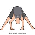 Forward Bend_Wide-Legged Forward Bend_yoga