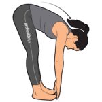 Hamstrings_147_stretching