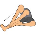 Hamstrings_150_stretching