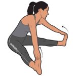 Hamstrings_153_stretching