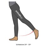 Hip-AROM_Extension_lower Limb ROM