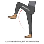 Hip-AROM_Flexion_lower Limb ROM