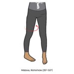 Hip-AROM_Medial Rotation_lower Limb ROM