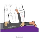 Hip-PROM_Extension _lower Limb ROM