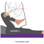 Hip-PROM_Flexion(bent knee)_lower Limb ROM