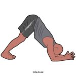 Inverted pose_Dolphin_yoga