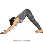 Inverted pose_Downward-Facing Dog_yoga