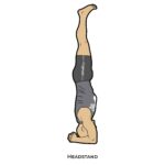 Inverted pose_Headstand_yoga