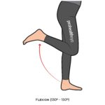 Knee-AROM_Flexion_lower Limb ROM