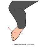 Knee-AROM_Lateral Rotation_lower Limb ROM