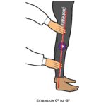 Knee-Goniometry_Extension_lower Limb ROM