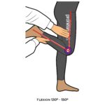 Knee-Goniometry_Flexion_lower Limb ROM