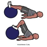 Lower Body_Hamstring Curl_body ball