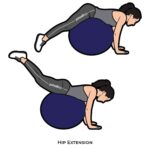 Lower Body_Hip Extension_body ball