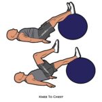 Lower Body_Knee To Chest_body ball