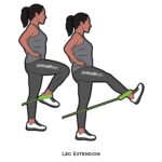 Lower Body_Leg Extension_resistance band_c