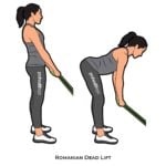 Lower Body_Romanian Dead Lift_resistance band_c