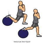 Lower Body_Single Leg Split Squat_body ball