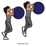 Lower Body_Standing Calf_body ball