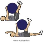 Lower Body_Straight Leg Deadbug_body ball