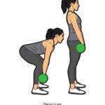 Lower body_Dead Lift_dumbbell
