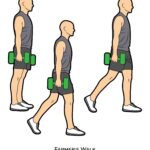 Lower body_Farmer_s Walk_dumbbell