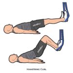 Lower body_Hamstring Curl_suspension