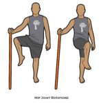 Lower body_Hip Joint Rotations_staff