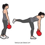 Lower body_Single Leg Dead Lift_Kettle bells