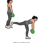 Lower body_Single Leg Dead Lift_dumbbell