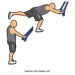 Lower body_Single Leg Dead Lift_suspension