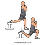 Lower body_Single Leg Split Squat_bodyweight