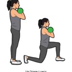 Lower body_Up Down Lunge_dumbbell
