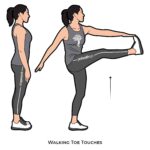 Lower body_Walking Toe Touches_bodyweight