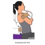Lumbar-PROM_Extension_spinal ROM