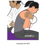 Lumbar-PROM_Flexion_spinal ROM