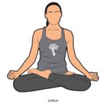 Seated Pose_Lotus_yoga