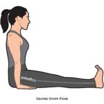 Seated Pose_Seated Staff Pose_yoga
