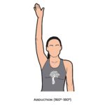 Shoulder AROM_Abduction_Upper Limb ROM