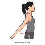 Shoulder AROM_Extension_Upper Limb ROM