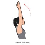 Shoulder AROM_Flexion_Upper Limb ROM