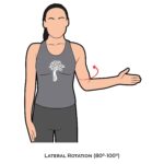 Shoulder AROM_Lateral Rotation_Upper Limb ROM