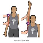 Shoulder Goniometry_Abduction_Upper Limb ROM