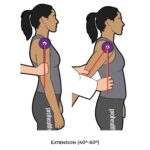 Shoulder Goniometry_Extension_Upper Limb ROM