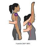 Shoulder Goniometry_Flexion_Upper Limb ROM