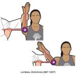 Shoulder Goniometry_Lateral rotation_Upper Limb ROM