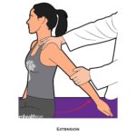 Shoulder PROM_Extension_Upper Limb ROM