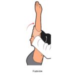 Shoulder PROM_Flexion_Upper Limb ROM