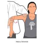 Shoulder PROM_Medial Rotation_Upper Limb ROM