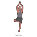 Standing pose_Tree Pose_yoga
